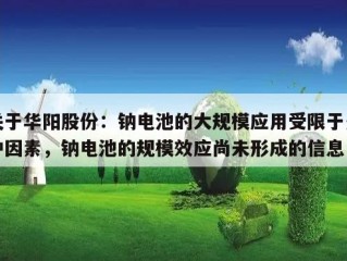 关于华阳股份：钠电池的大规模应用受限于多种因素，钠电池的规模效应尚未形成的信息