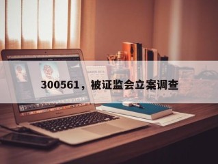 300561，被证监会立案调查