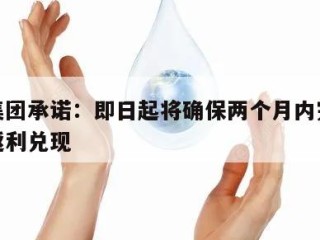 广汽集团承诺：即日起将确保两个月内完成经销商返利兑现
